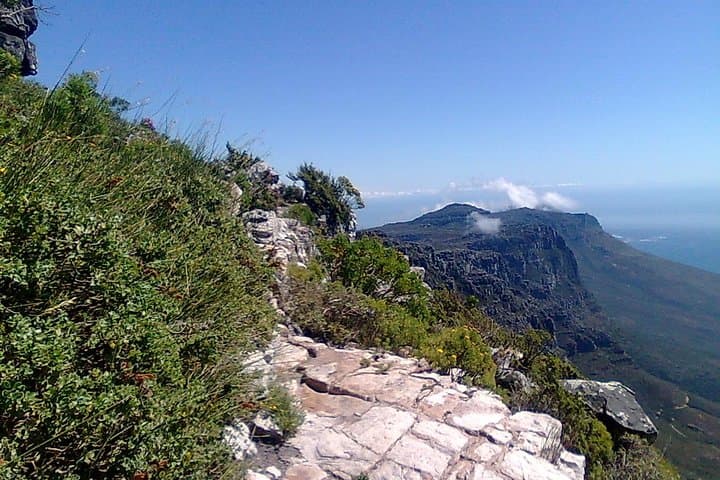 India Venster Scramble on Table Mountain — Thrilling 3-Hour Hike in Cape Town photo 4