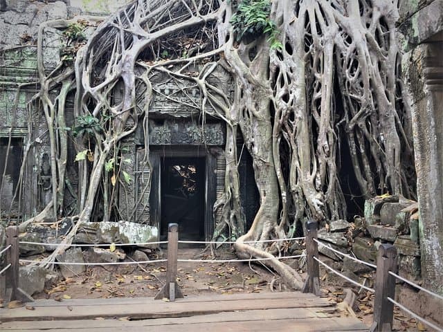 Private Angkor Wat Temple Tour from Siem Reap — Angkor Wat, Angkor Thom, Ta Prohm & Banteay Srei photo 2