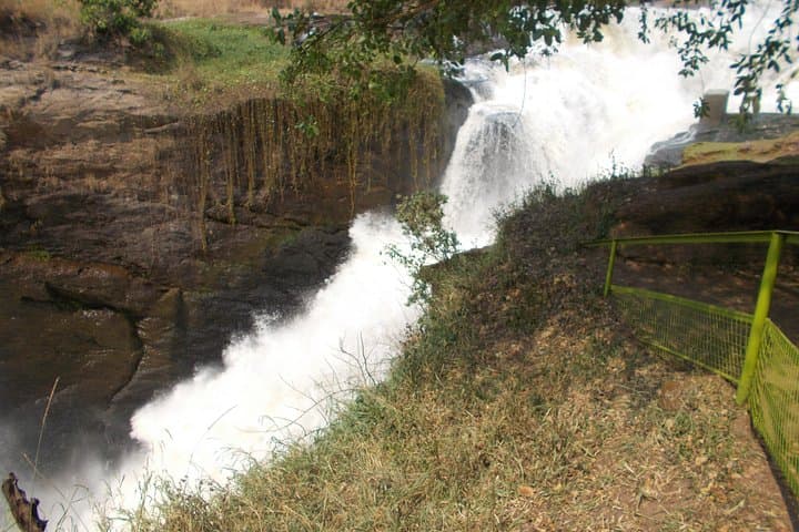 Murchison Falls 2-Day Big-5 Safari: Nile Cruise, Game Drive & Rhino Trek photo 2