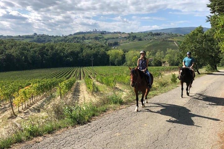 Horseback Riding to San Gimignano: Chianti Countryside Ride with Lunch & Wine Tasting photo 2