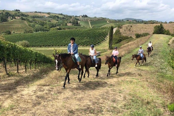 Horseback Riding to San Gimignano: Chianti Countryside Ride with Lunch & Wine Tasting