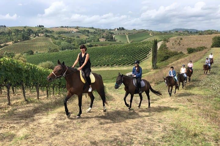 Horseback Riding to San Gimignano: Chianti Countryside Ride with Lunch & Wine Tasting photo 6