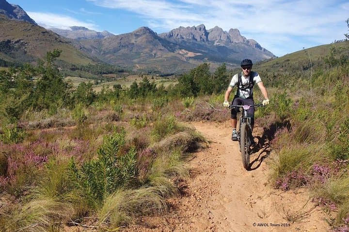 Private Wellington Winelands Mountain Biking Tour from Cape Town
