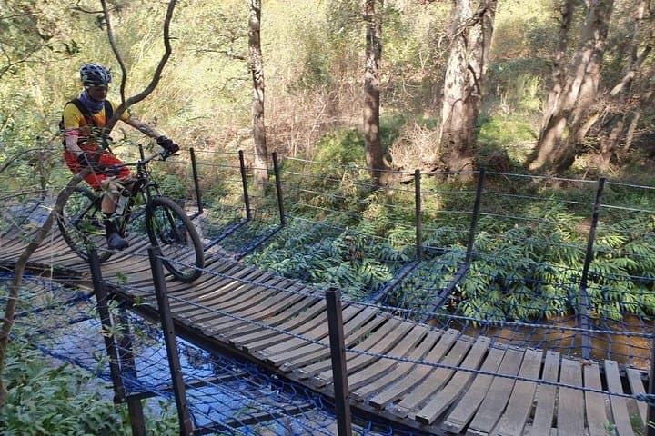 Private Wellington Winelands Mountain Biking Tour from Cape Town photo 2