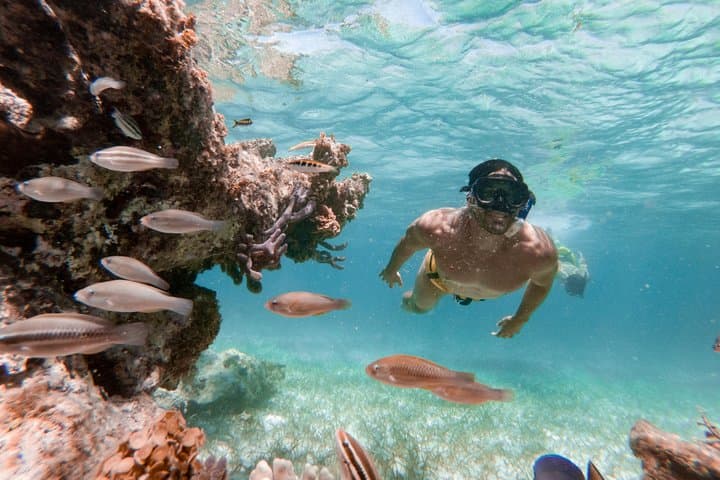 Marinarium Snorkeling Cruise Punta Cana: Reef, Rays & Floating Bar