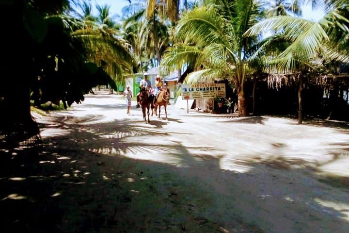 Acapulco Horseback Ride & Baby Turtle Release at Afro-Mex Village photo 4