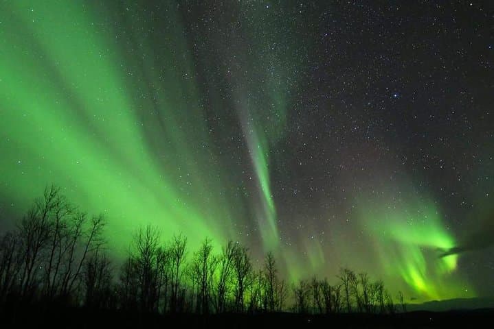 Snowmobile to Mt Ednamvarri: Northern Lights Tipi Dinner near Kiruna photo 4