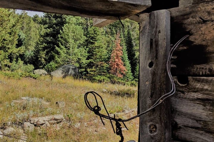 Snowshoe Through History: Guided Snowshoe Tour from Denver photo 6