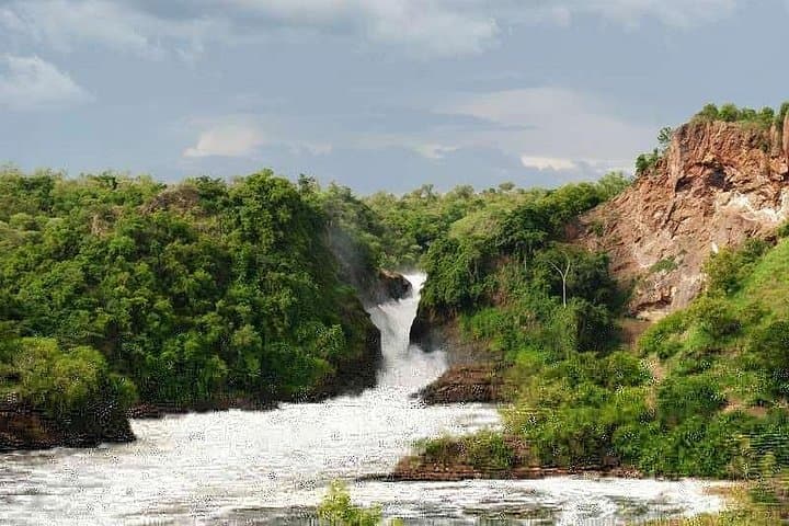 Murchison Falls 2-Day Big-5 Safari: Nile Cruise, Game Drive & Rhino Trek