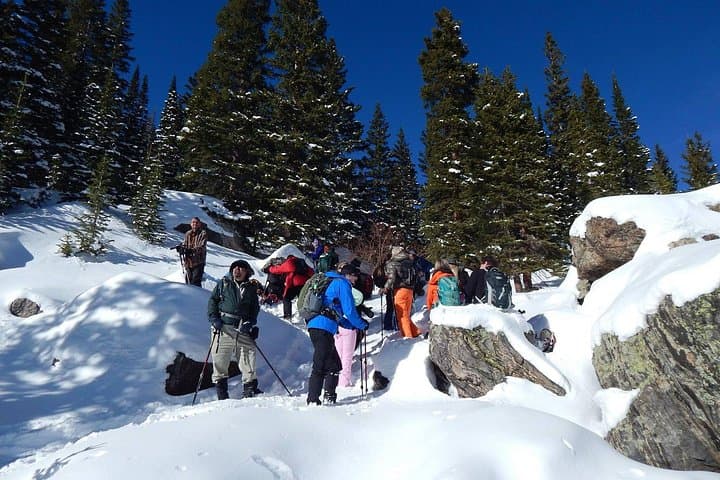 Snowshoe Mountain Adventure from Denver — Full-Day Rocky Mountain Snowshoe Tour photo 3