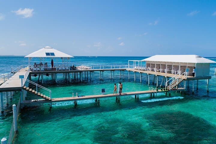Reef Explorer: Punta Cana Floating-Island Snorkel, Kayak & Stingray Encounter photo 6