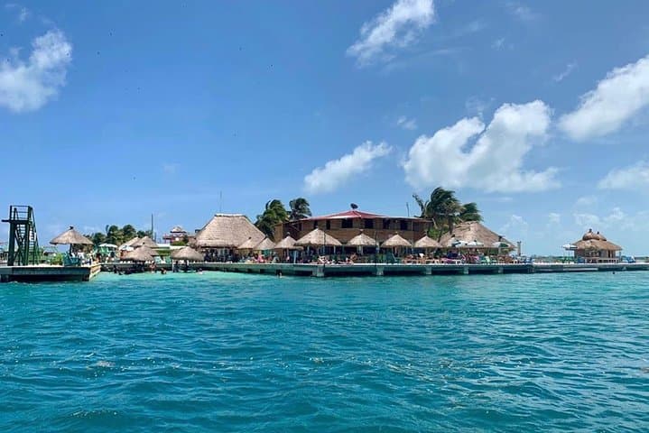 Snorkel Coral Gardens & Shark Ray Alley — Caye Caulker Barrier Reef Adventure photo 2