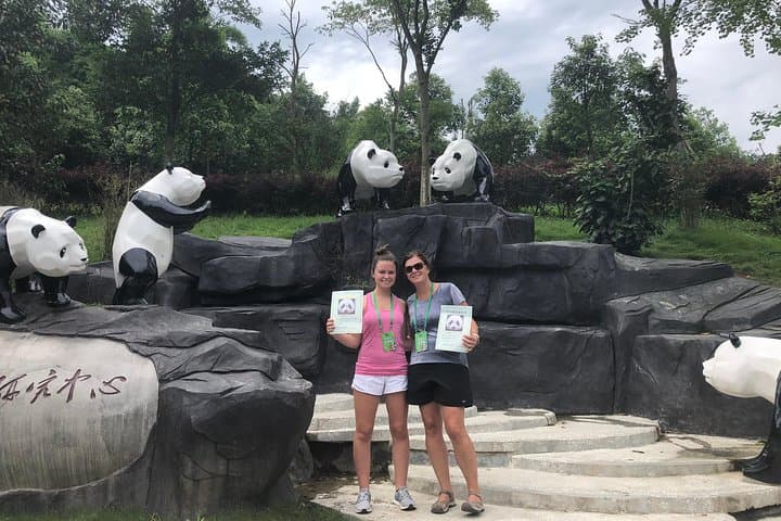Volunteer with Giant Pandas at Wolong Reserve — Chengdu Day Trip