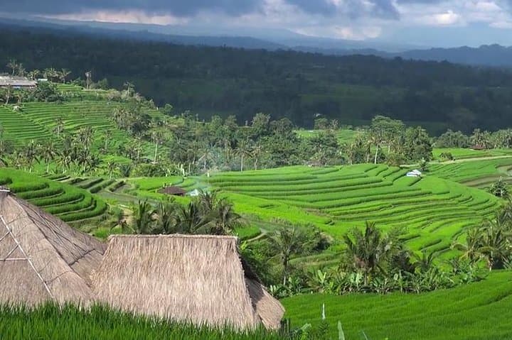Bali Private Day Tour: Ulun Danu, Handara Gate & Jatiluwih Rice Terraces photo 6