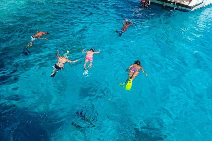 White Island Snorkeling & Ras Mohammed Day Trip from Sharm El Sheikh photo 5