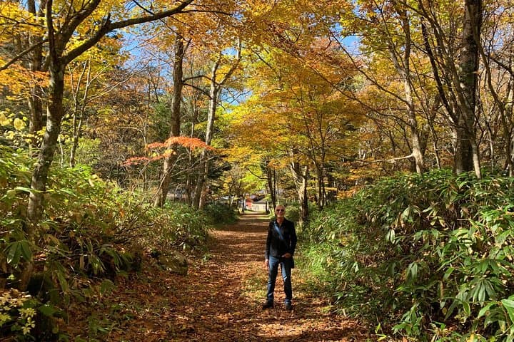 Takayama Ridge Hike with Ropeway: Short Alpine Views and Onsen Options photo 5