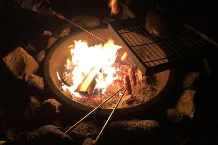 Levi Northern Lights Hunt with Campfire Snacks — 3-Hour Aurora Tour photo 4