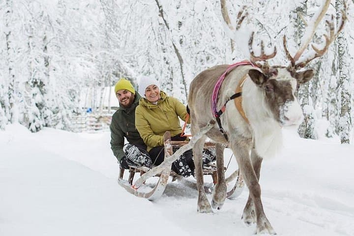 Lapland Reindeer & Husky Safari from Levi — Husky Sledding, Reindeer Ride & Lappish Storytelling photo 4