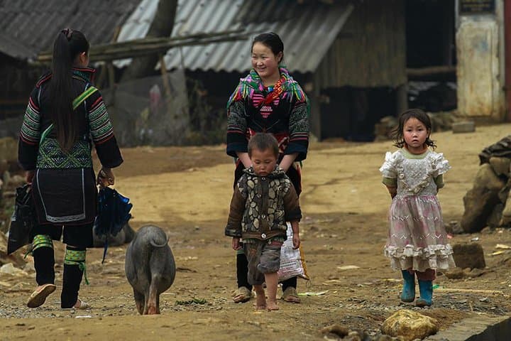 Muong Hoa Valley Trek & Homestay: 4-Day Sapa Rice Terrace Trek