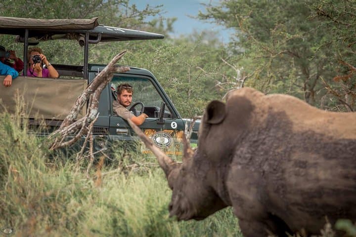 Big 5 at Hluhluwe-Imfolozi: Full-Day Safari from St Lucia