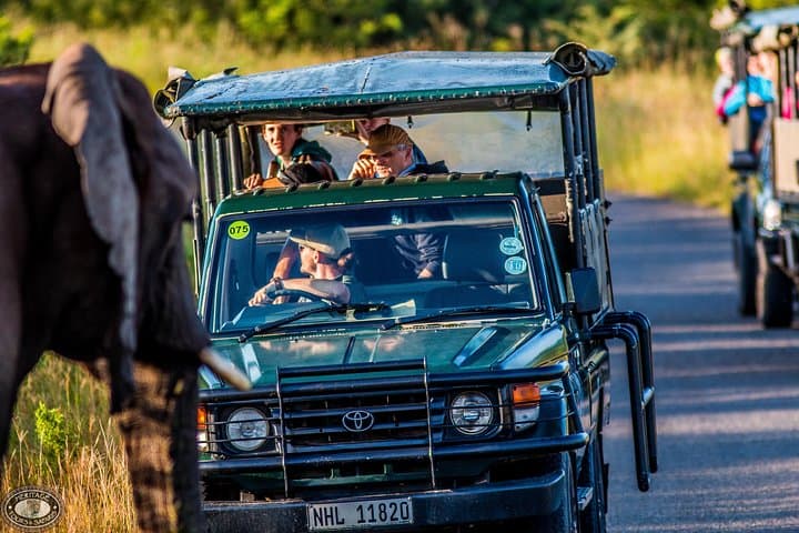 Big 5 at Hluhluwe-Imfolozi: Full-Day Safari from St Lucia photo 2