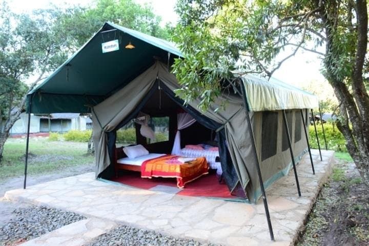 14-Day Maasai Mara, Serengeti & Zanzibar Safari from Nairobi — Ultimate Wildlife and Beach Journey photo 4