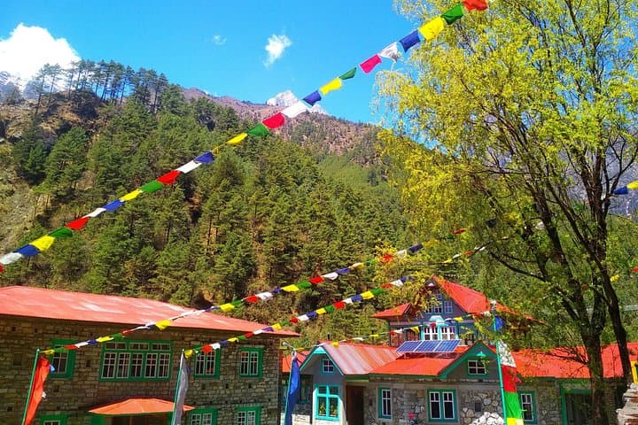 12-Day Everest Base Camp Trek: Lukla to Kala Patthar High-Altitude Journey photo 3