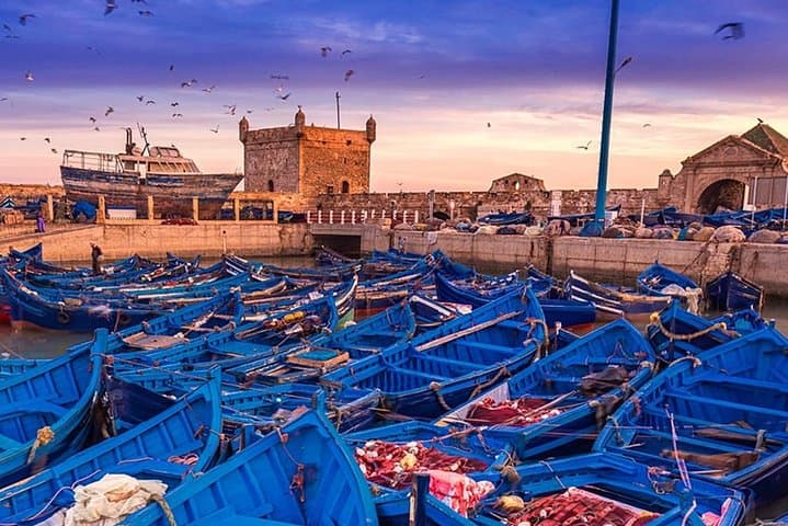 Essaouira Wind and Waves: Private Day Trip from Marrakech photo 2