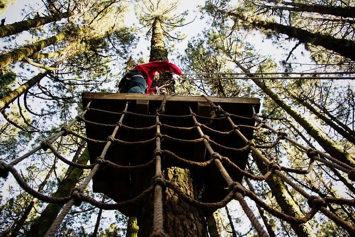 Forestal Park Tenerife: Treetop Ziplines & Tarzan Swings at Teide's Edge photo 4