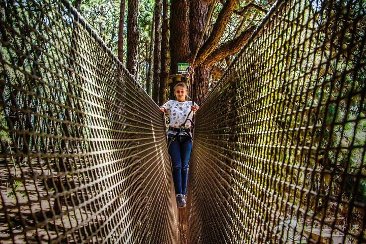 Forestal Park Tenerife: Treetop Ziplines & Tarzan Swings at Teide's Edge photo 5
