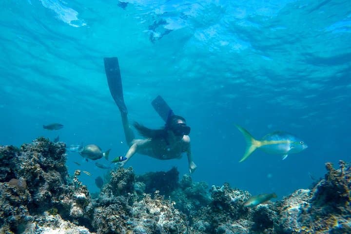 Punta Cana Happy Hour Sailing Cruise: Snorkel, Rum Shots & Natural Pool Party photo 3