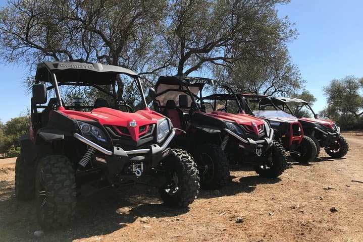 3-Hour Buggy Route Through the Dehesa Extremeña: Off-Road Adventure Near Tentudía photo 3