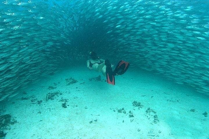 Mayan Adventure from Cancun: Snorkel Reefs, Jungle Rivers & Cenote Swim photo 6