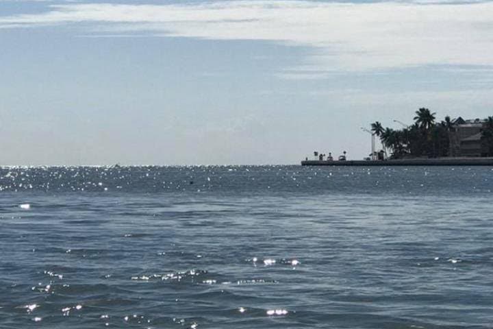 Key West Stand Up Paddleboard Rental — Explore Stock Island Mangroves photo 5