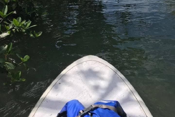 Key West Stand Up Paddleboard Rental — Explore Stock Island Mangroves photo 6