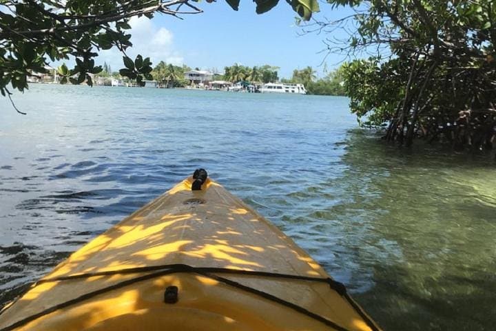 Explore Mangrove Tunnels: Key West 2-Hour Kayak Rental from Hurricane Hole Marina photo 4