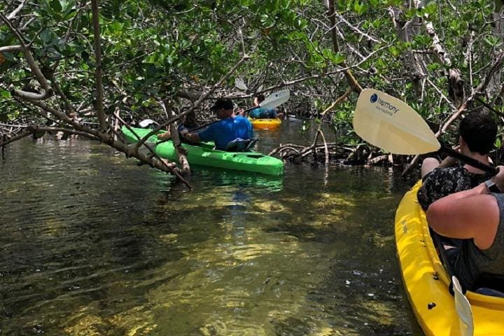 Explore Mangrove Tunnels: Key West 2-Hour Kayak Rental from Hurricane Hole Marina photo 5