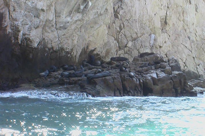 Land's End Glass-Bottom Boat Tour — Cabo San Lucas Arch & Lover’s Beach photo 4