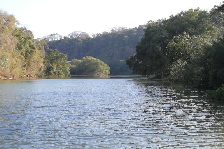 Mangrove Kayak Tour from Sámara to Playa Camaronal: Paddle, Birds, and Turtle Refuge photo 3