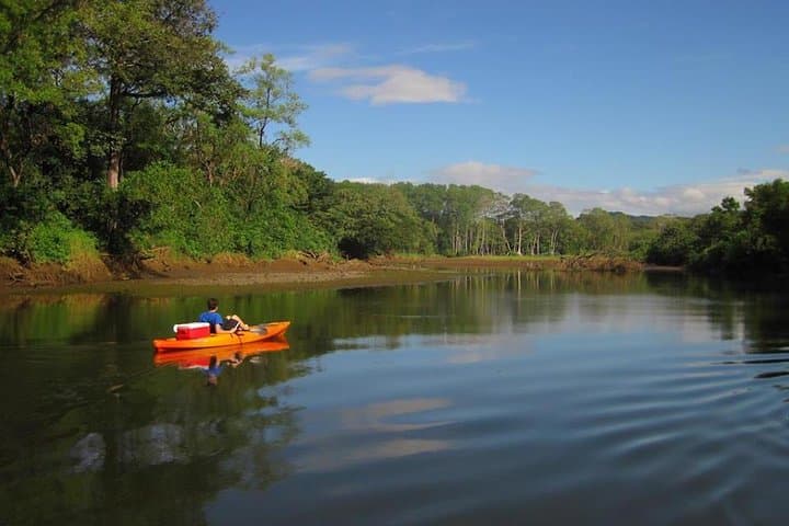 Mangrove Kayak Tour from Sámara to Playa Camaronal: Paddle, Birds, and Turtle Refuge photo 2