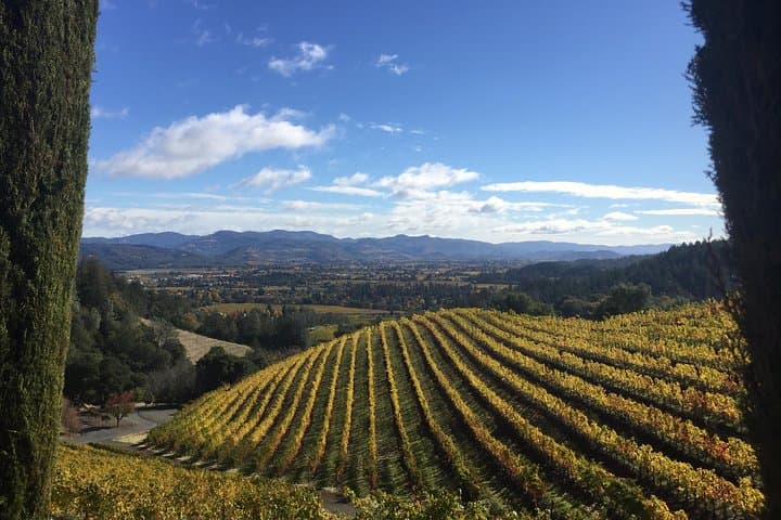 Private Napa Valley Limo Wine Tour from San Francisco — 8-Hour Custom Tastings photo 4