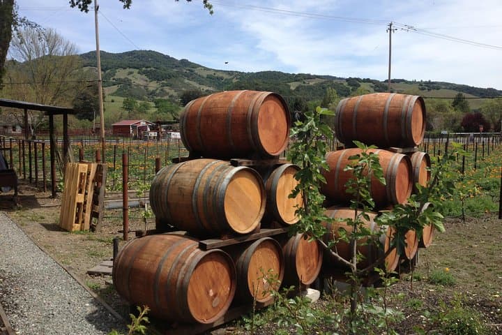 Private Napa Wine Country SUV Tour — 6-Hour Custom Wine-Tasting Experience photo 5