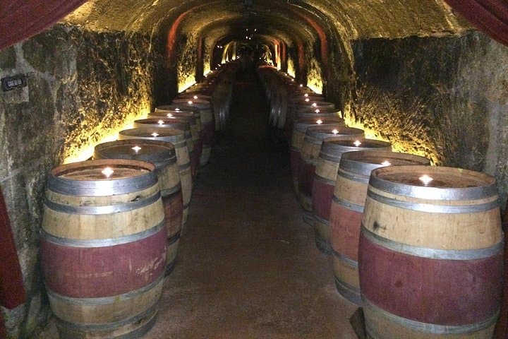 Private San Francisco to Napa Wine Tour — Custom Luxury Day Trip photo 4
