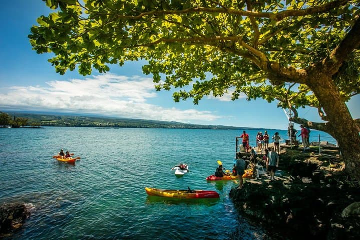 Historic Hilo Bay Waterfalls Kayak Tour — Guided Paddle & Waterfall Swim photo 3