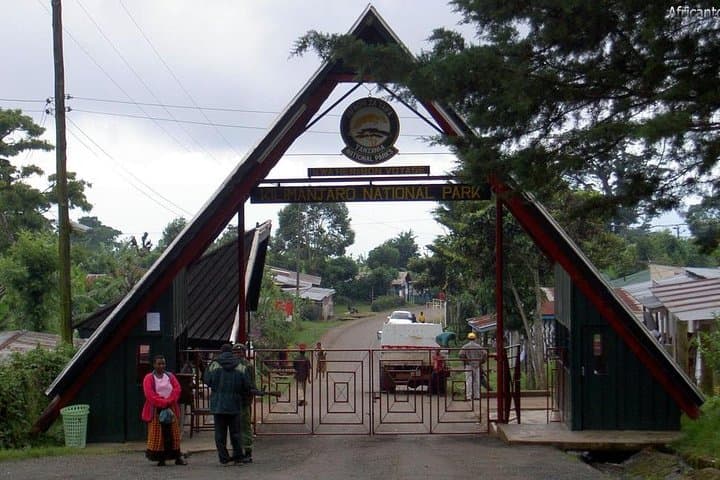 One-Day Kilimanjaro Trek to Mandara Hut via Marangu Route photo 4