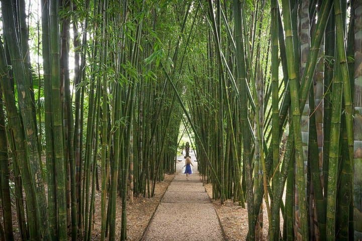 Byron Bay & Beyond: Cape Byron Lighthouse, Crystal Castle and Bangalow Day Tour photo 5