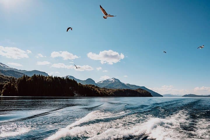 Arrayanes Forest & Victoria Island: Nahuel Huapi Catamaran and Forest Walk photo 6