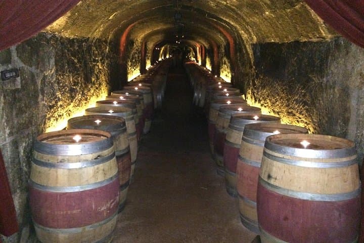 Private Napa Wine Country SUV Tour — 6-Hour Custom Wine-Tasting Experience photo 4