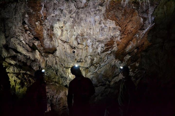 Inside Riverbend Cave: Family-Friendly Crystal and Fossil Walk on Vancouver Island photo 2