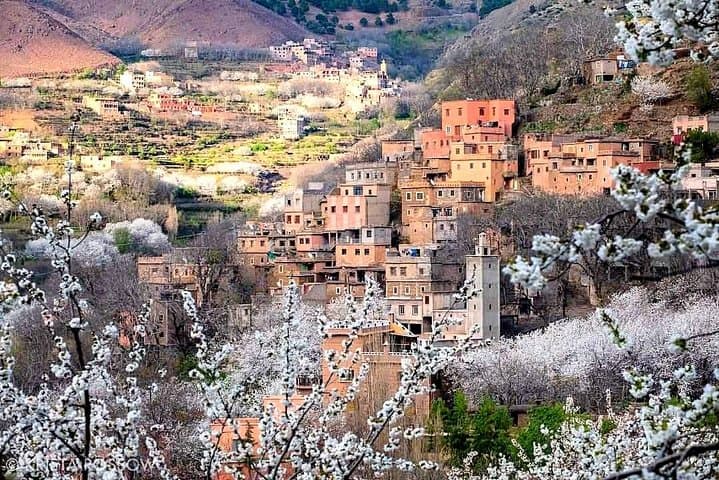 Full-Day Atlas Mountains, Imlil Valleys & Waterfalls Tour from Marrakech photo 5